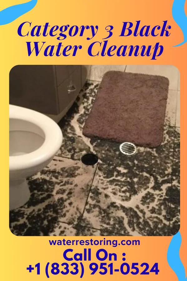 Category 3 Black Water Cleanup in Lake Bosworth, WA