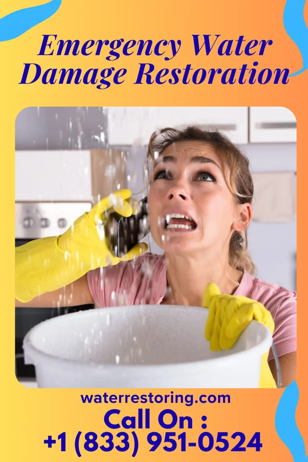 Emergency Water Damage Restoration in Lake Bosworth, WA