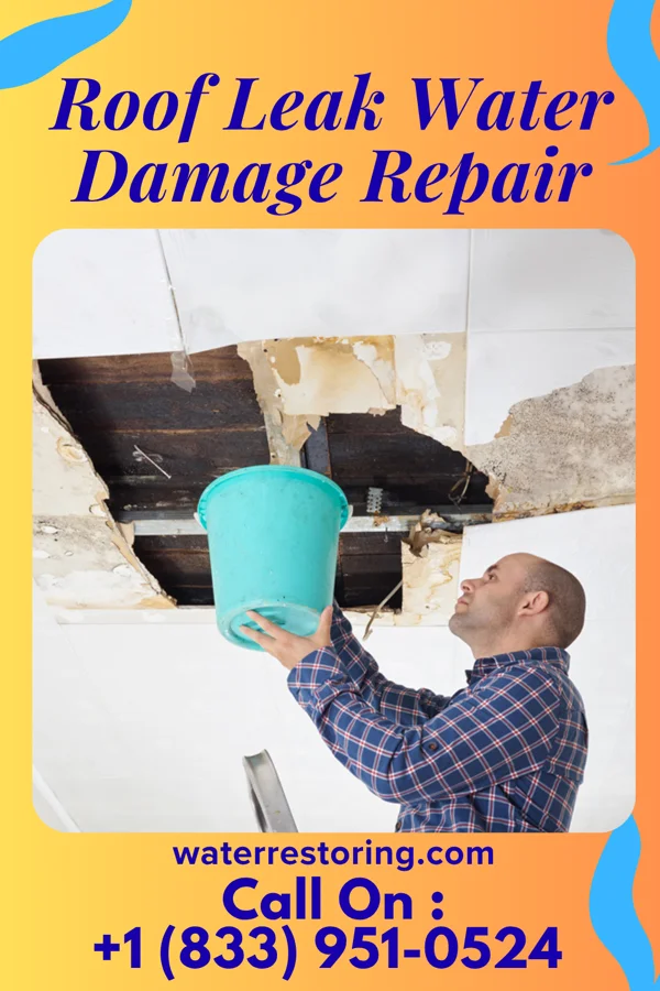 Roof Leak Water Damage Repair in Lake Bosworth, WA