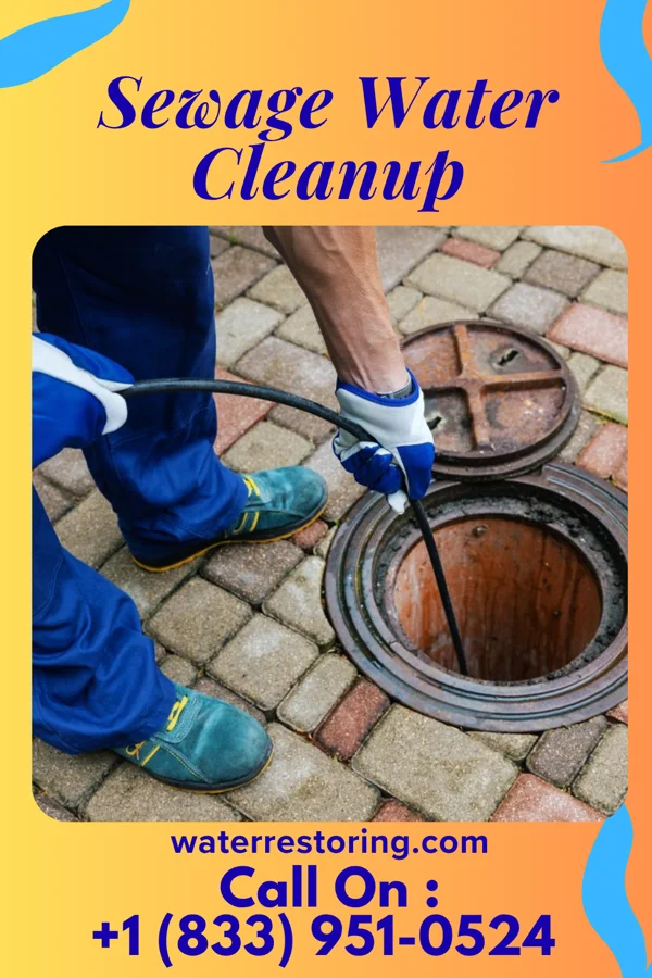 Sewage Water Cleanup in Lake Bosworth, WA